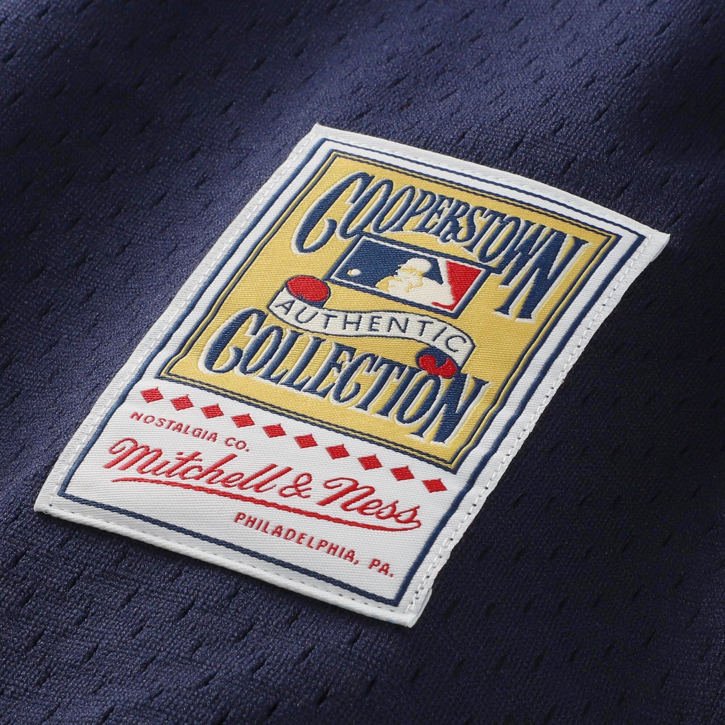 Ozzie Smith St. Louis Cardinals Mitchell & Ness Authentic Batting Practice Jersey - Navy