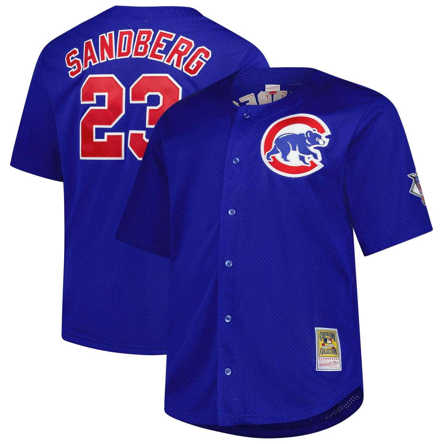 Ryne Sandberg Chicago Cubs Mitchell &amp;amp; Ness Big &amp;amp; Tall Cooperstown Mesh Batting Practice Jersey - Royal