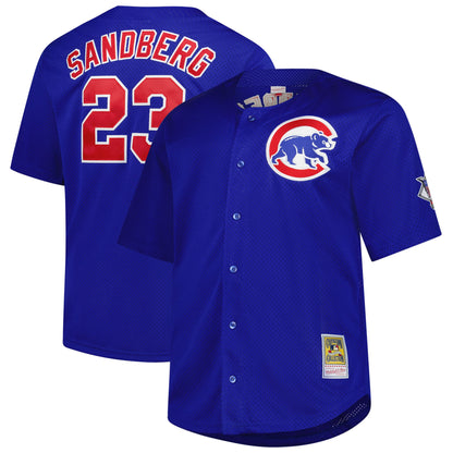 Ryne Sandberg Chicago Cubs Mitchell &amp;amp; Ness Big &amp;amp; Tall Cooperstown Mesh Batting Practice Jersey - Royal