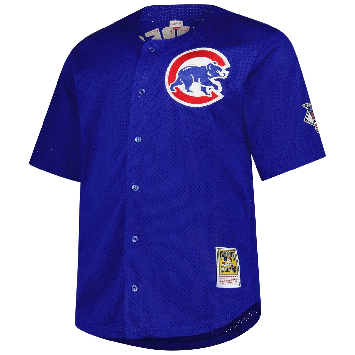 Ryne Sandberg Chicago Cubs Mitchell &amp;amp; Ness Big &amp;amp; Tall Cooperstown Mesh Batting Practice Jersey - Royal