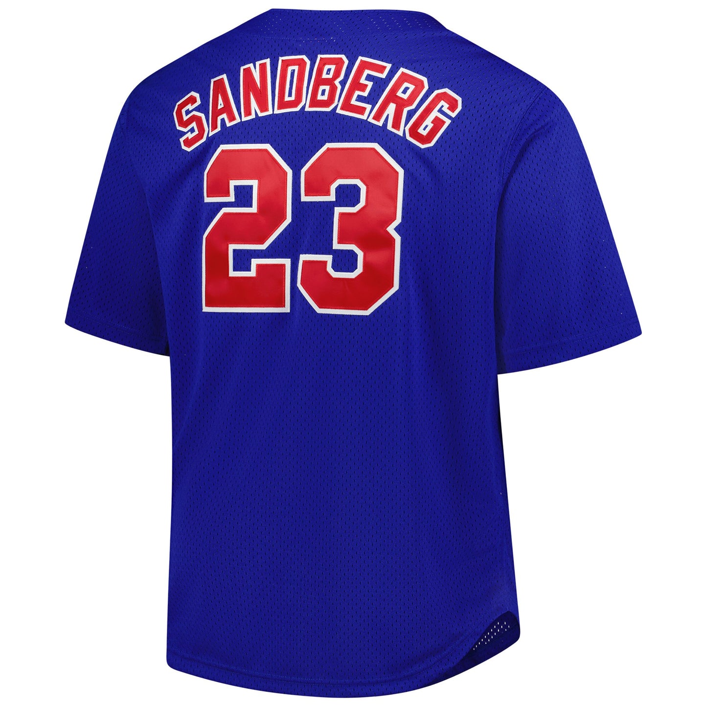 Ryne Sandberg Chicago Cubs Mitchell &amp;amp; Ness Big &amp;amp; Tall Cooperstown Mesh Batting Practice Jersey - Royal