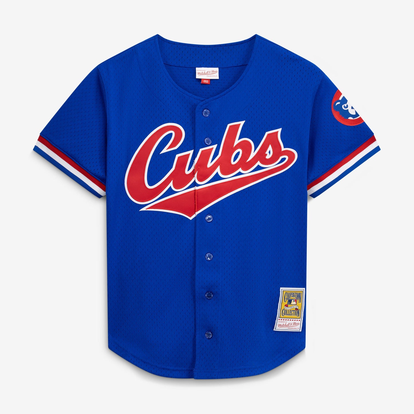 Ryne Sandberg Chicago Cubs Mitchell &amp;amp; Ness Cooperstown Collection 1996 Mesh Batting Practice Button-Up Jersey - Royal