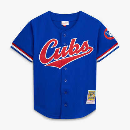 Ryne Sandberg Chicago Cubs Mitchell &amp;amp; Ness Cooperstown Collection 1996 Mesh Batting Practice Button-Up Jersey - Royal