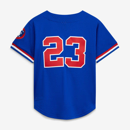 Ryne Sandberg Chicago Cubs Mitchell &amp;amp; Ness Cooperstown Collection 1996 Mesh Batting Practice Button-Up Jersey - Royal