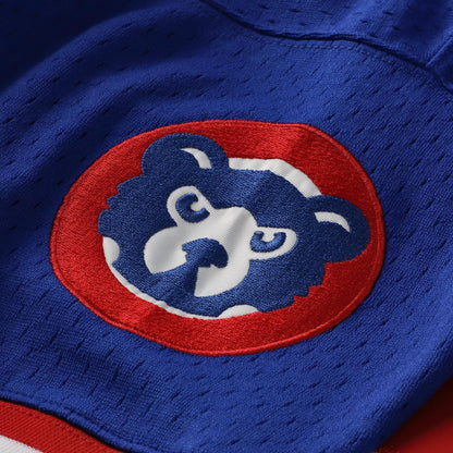 Ryne Sandberg Chicago Cubs Mitchell &amp;amp; Ness Cooperstown Collection 1996 Mesh Batting Practice Button-Up Jersey - Royal