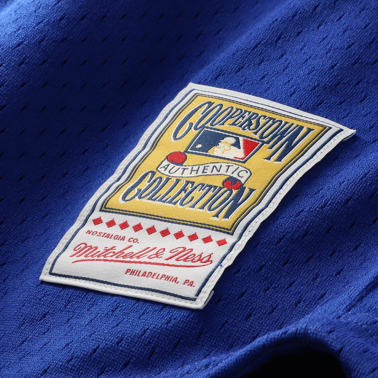 Ryne Sandberg Chicago Cubs Mitchell &amp;amp; Ness Cooperstown Collection 1996 Mesh Batting Practice Button-Up Jersey - Royal