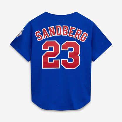 Ryne Sandberg Chicago Cubs Mitchell &amp;amp; Ness Cooperstown Collection 1997 Mesh Batting Practice Button-Up Jersey - Royal