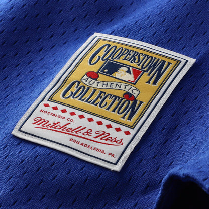 Ryne Sandberg Chicago Cubs Mitchell &amp;amp; Ness Cooperstown Collection 1997 Mesh Batting Practice Button-Up Jersey - Royal