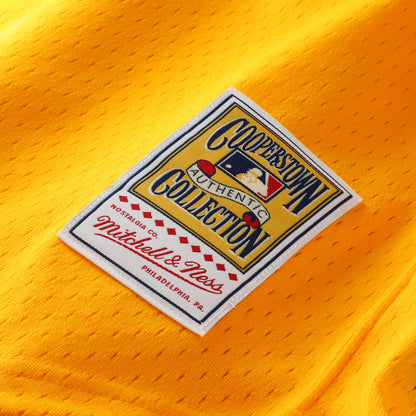 Tony Gwynn San Diego Padres Mitchell &amp;amp; Ness Authentic Batting Practice Jersey - Gold