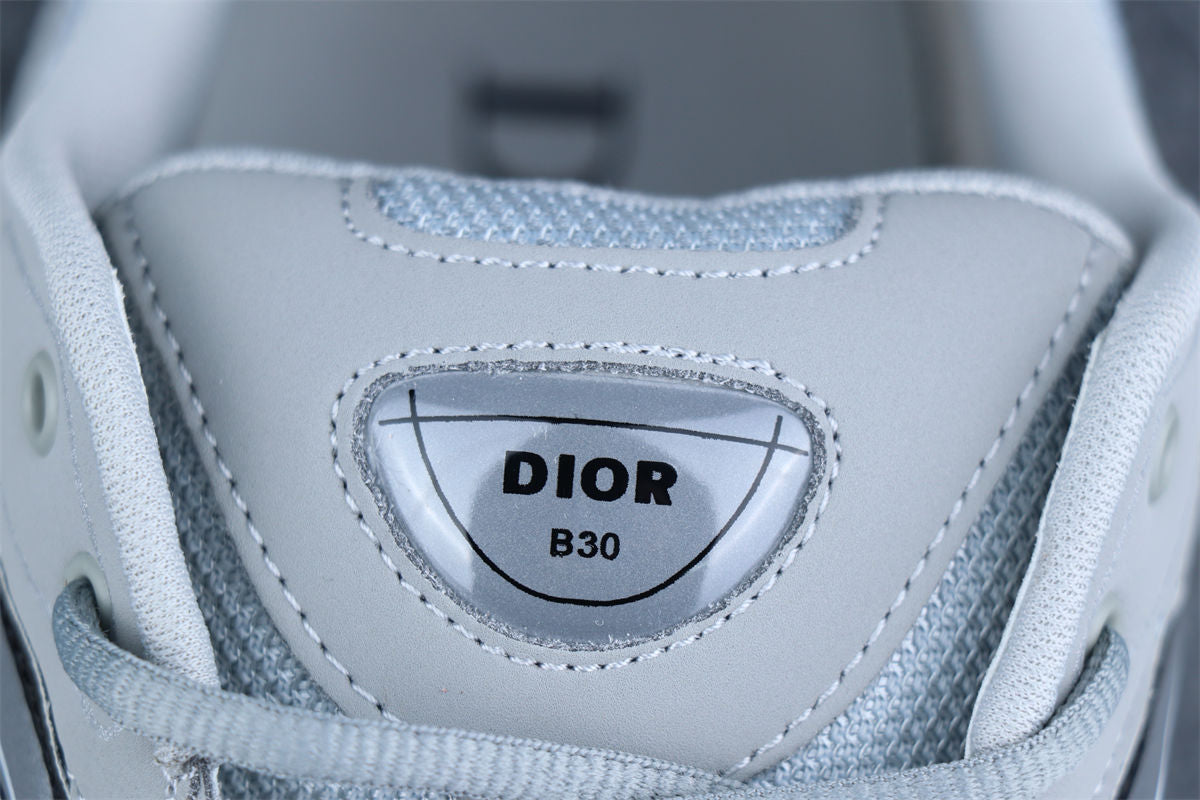 Dior B30 'Reflective CD30 Grey'