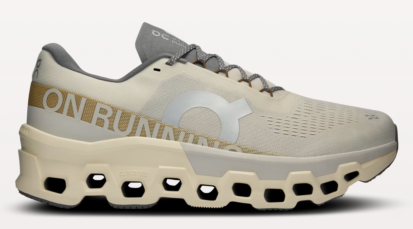 Men's On Running Shoes Cloudmonster 2