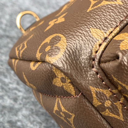 LV Palm Springs Mini