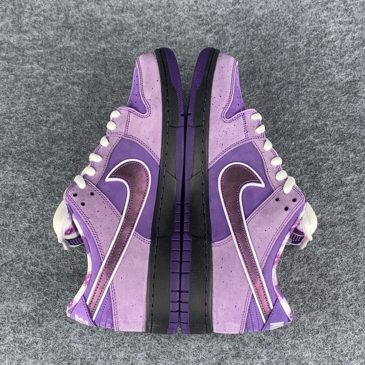 Concepts x Dunk Low SB 'Purple Lobster'