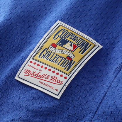 Nolan Ryan Texas Rangers Mitchell &amp;amp; Ness Authentic Batting Practice Jersey - Royal