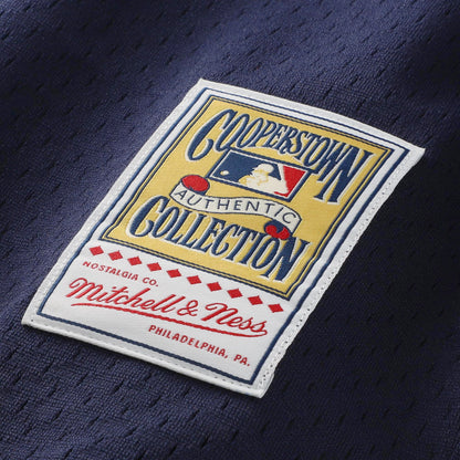 Ozzie Smith St. Louis Cardinals Mitchell &amp;amp; Ness Authentic Batting Practice Jersey - Navy
